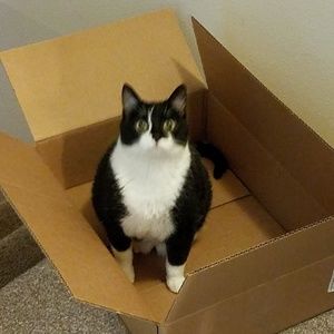 Meet your Posher, Kathy